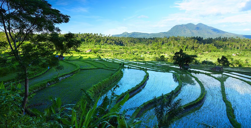 Ubud Village Hotel 4* & Prama Sanur Beach Bali 5*