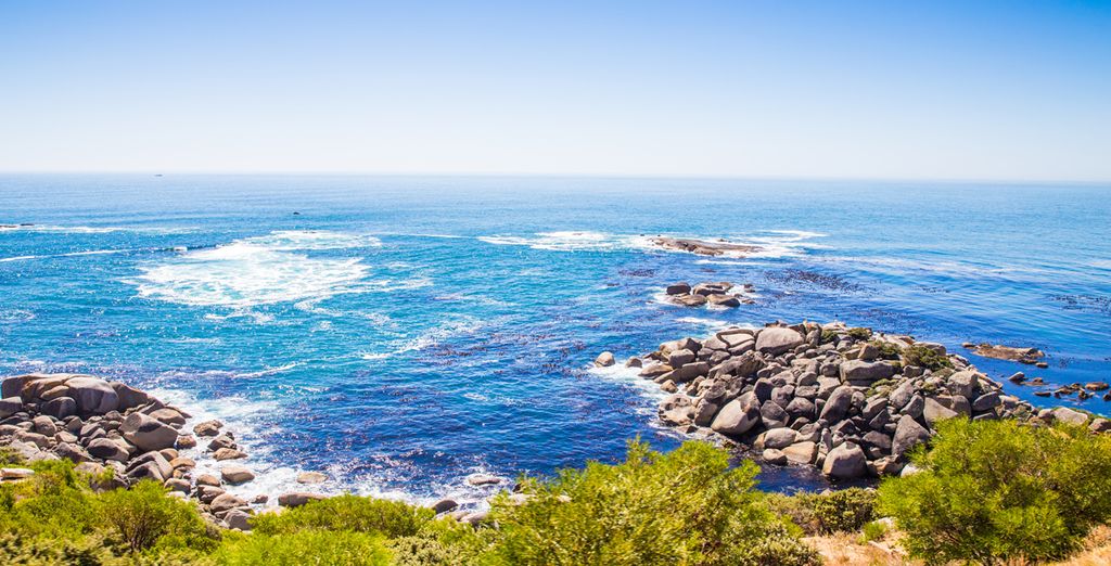 Tour del Sud Africa: da Cape Town a Port Elisabeth