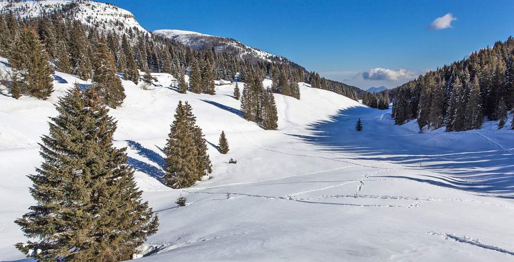 DV Chalet Boutique Hotel & SPA 4*