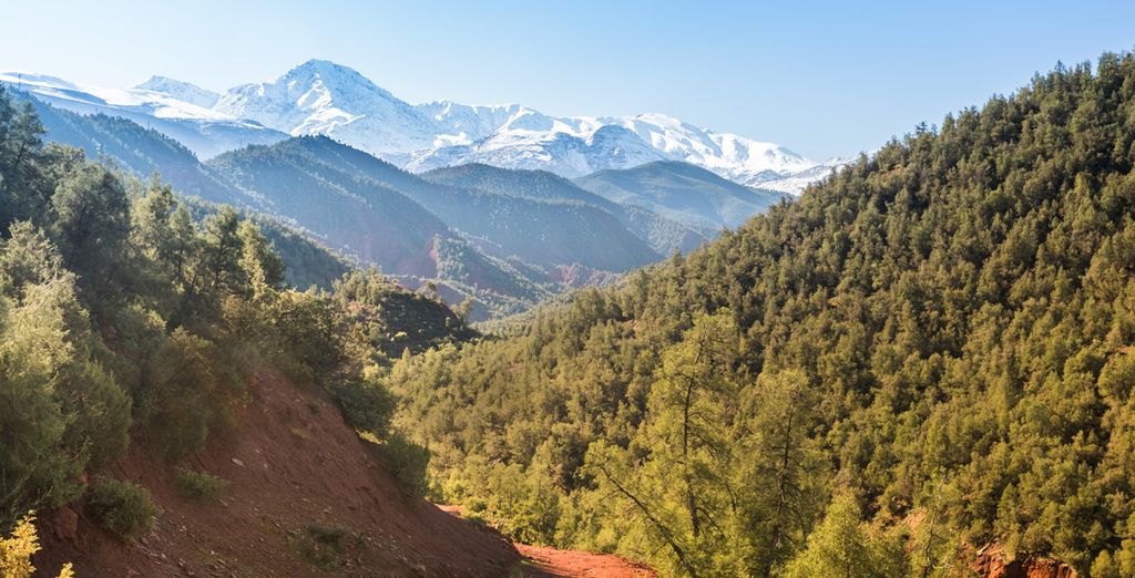 Tour di Marrakech e dei suoi dintorni con 10 degustazioni