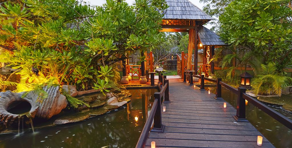 Tour privato dello Sri Lanka e soggiorno mare alle Maldive