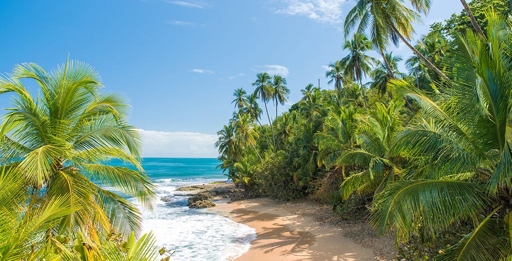Crowne Plaza Panama 4* con tour in spiaggia