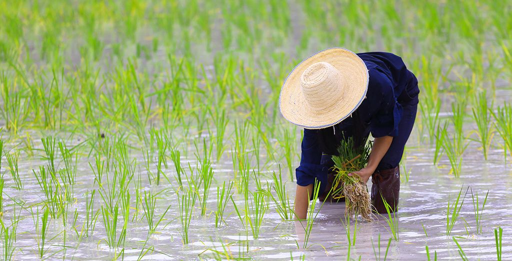 Tour alla scoperta dell'autenticità di Bali