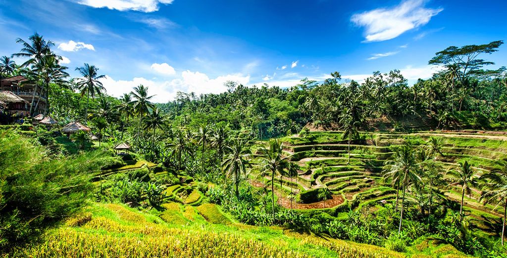 Adiwana Resort Jembawan 4* + Villa Kayu Raja 4* + Tanadewa Luxury Villas & Spa 4*