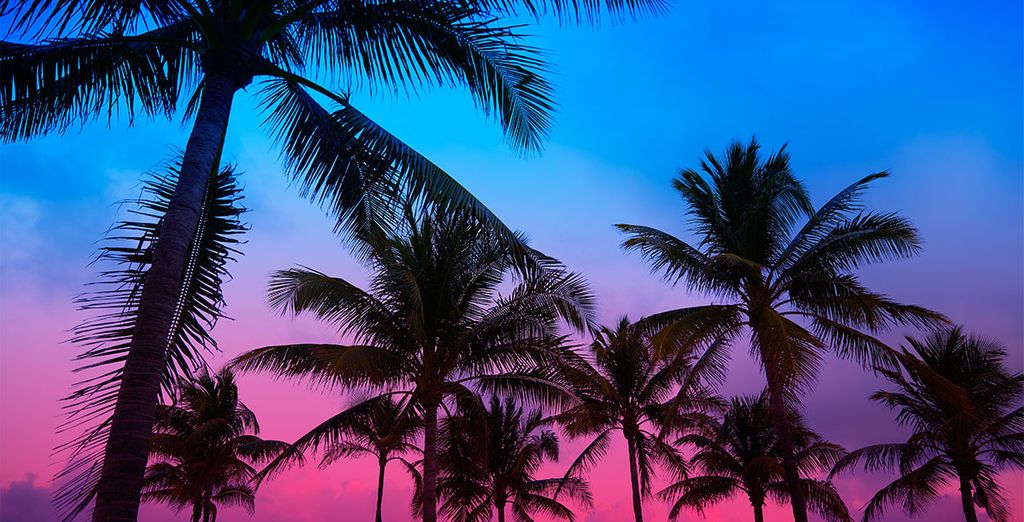 Autotour alla scoperta della Florida