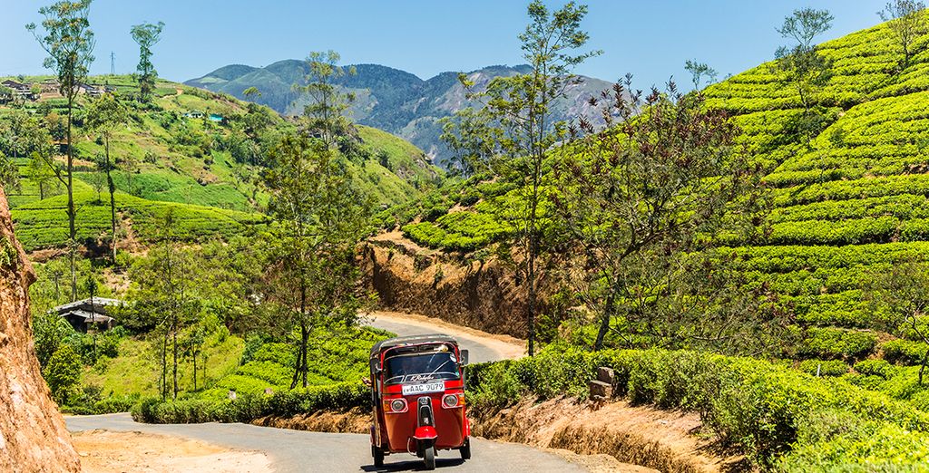 Tour privato alla scoperta delle meraviglie naturali dello Sri Lanka