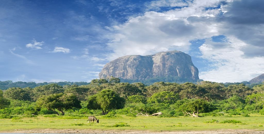Tour privato in Sri Lanka con possibile soggiorno a Dubai