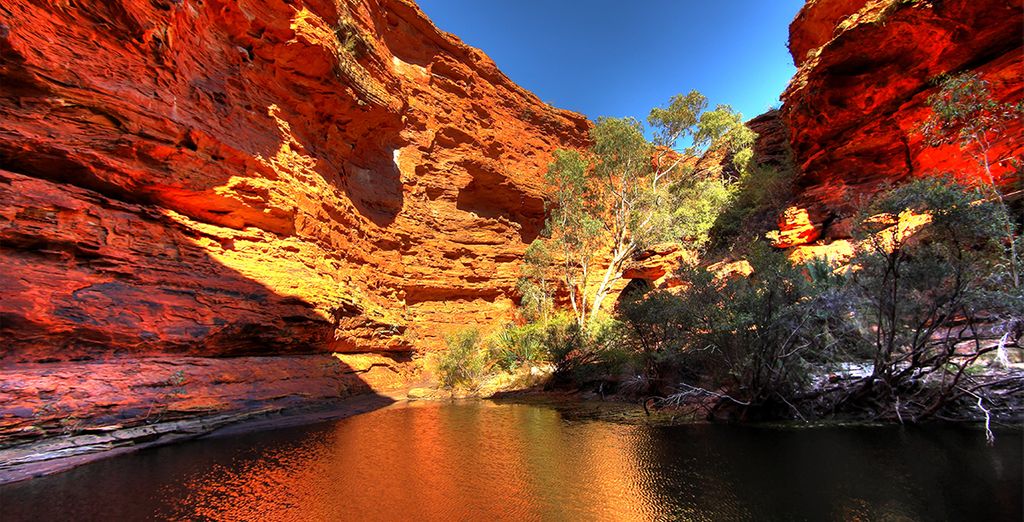 Autotour da Sydney alla costa est e estensione a Ayers Rock