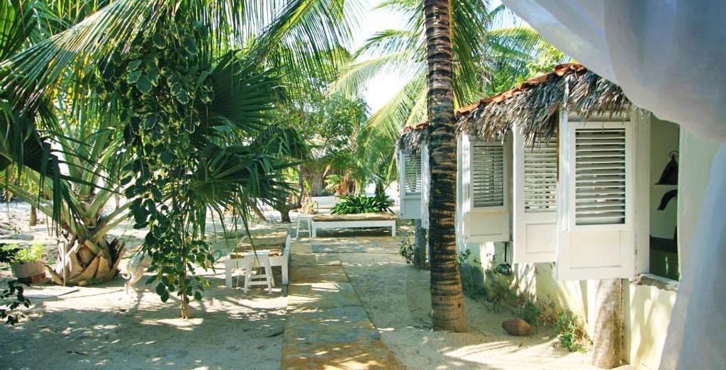 Tour del Nordeste + Estensione a Rio De Janeiro