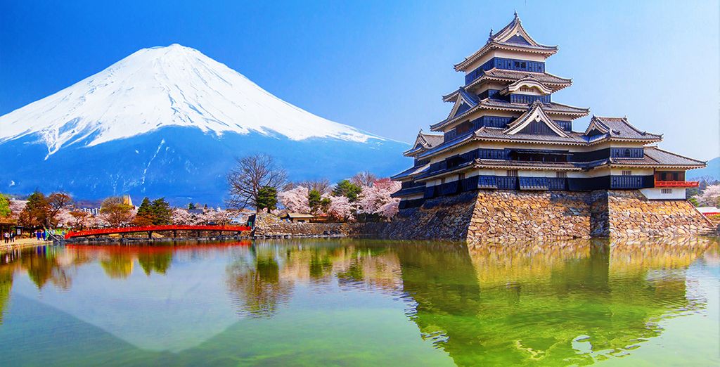 Tour tra le città e le Alpi del Giappone