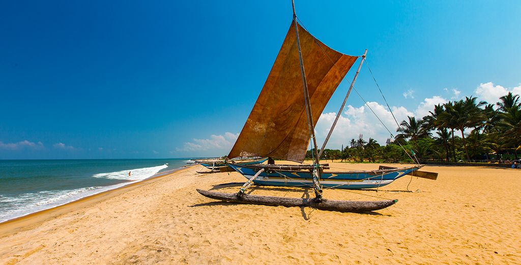 Mini Highlights dello Sri Lanka & estensione mare in 4*