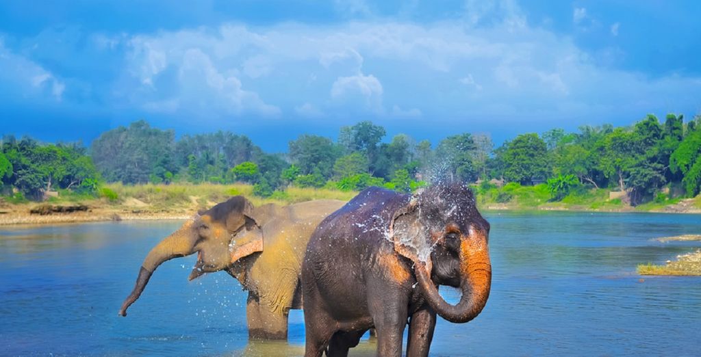 Tour tra le gemme del Nepal