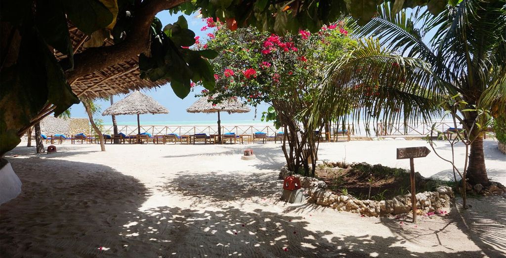 Safari nella riserva di Masai Mara + soggiorno mare a Zanzibar presso Hotel Casa del Mar