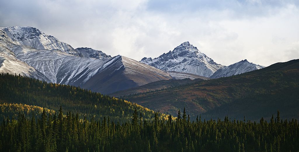 Crociera in Alaska con Princess Cruises