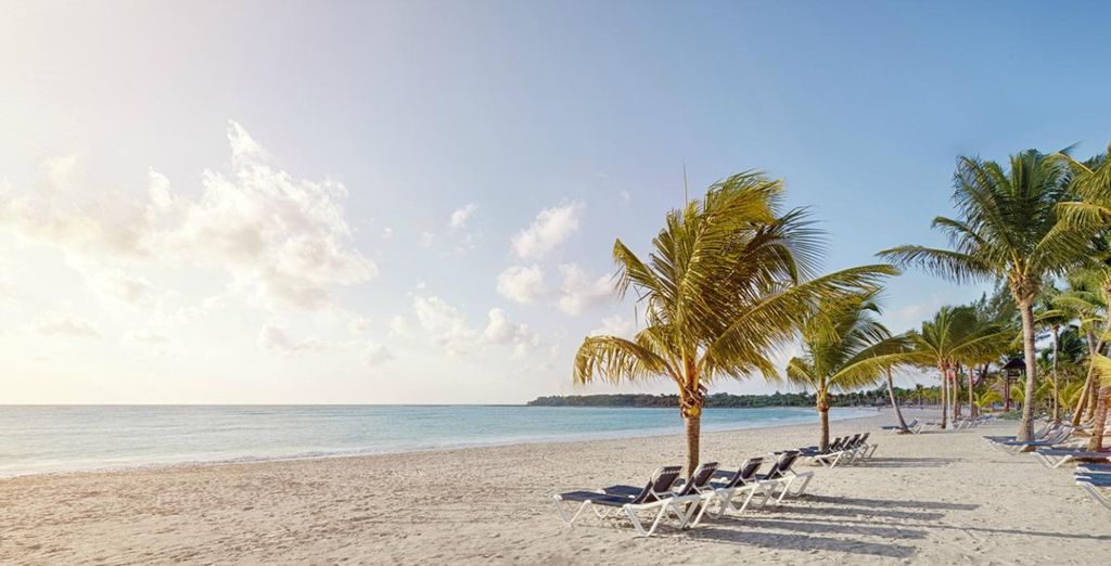 Courtyard New York Manhattan by Marriott e Hotel Barcelo Maya Palace 5*