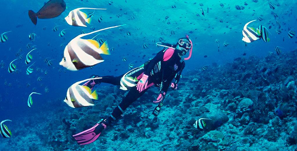 Tour i colori di Palawan