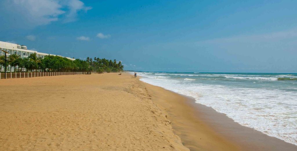Tour dello Sri Lanka e estensione mare in 4* e 5*
