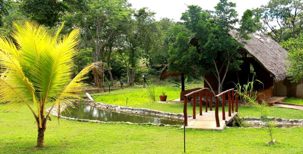 Mini tour Kandy + soggiorno mare Sri Lanka in 4* e 5*