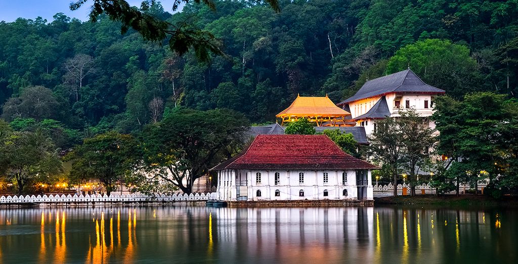 Tour dello Sri Lanka in 8 o 10 notti