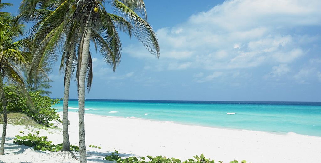 Hotel Nacional de Cuba L'Avana 4*S + Melia Buenavista Cayo S.Maria 5* 