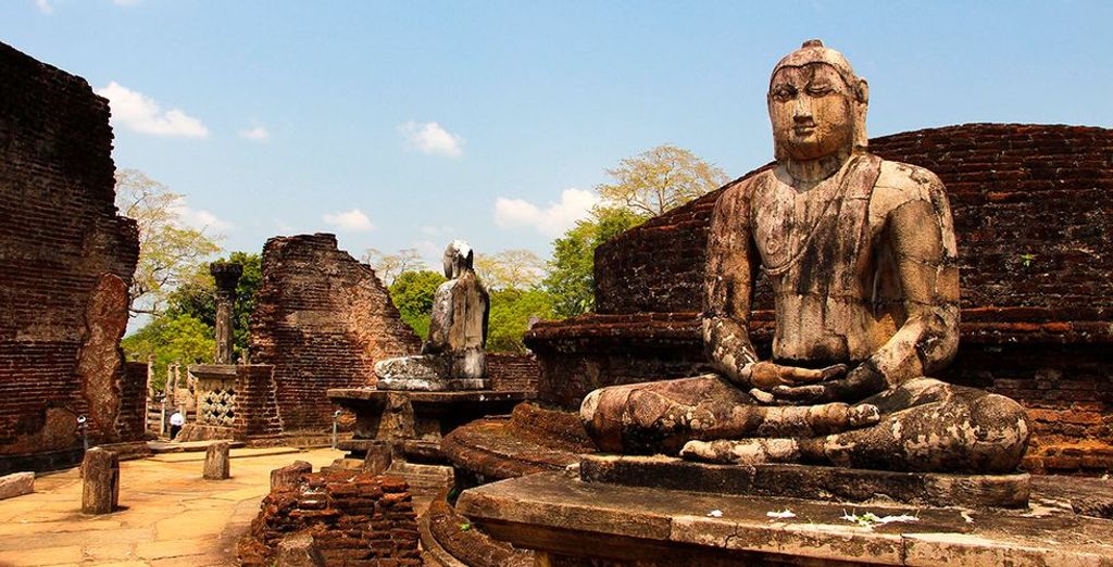 Tour Sri Lanka + Safari