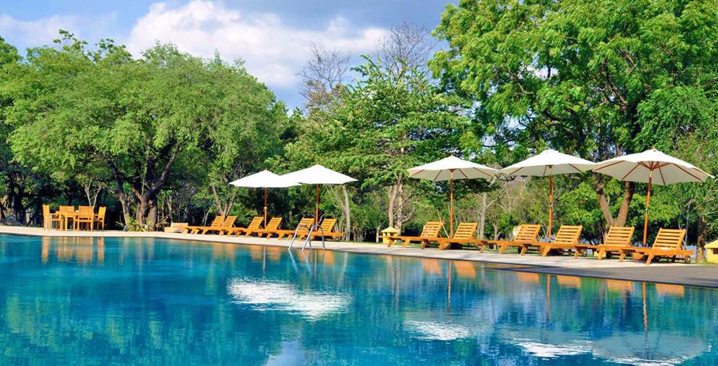 Minitour Colombo, Dambulla, Sigiriya e soggiorno mare a Chilaw