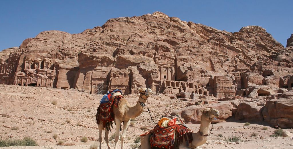 Tour guidato di Petra e Gerusalemme con guida locale parlante italiano