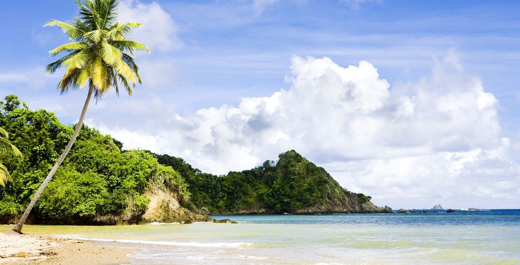 Crociera: 2 itinerari nelle Isole Vergini Britanniche e Tobago