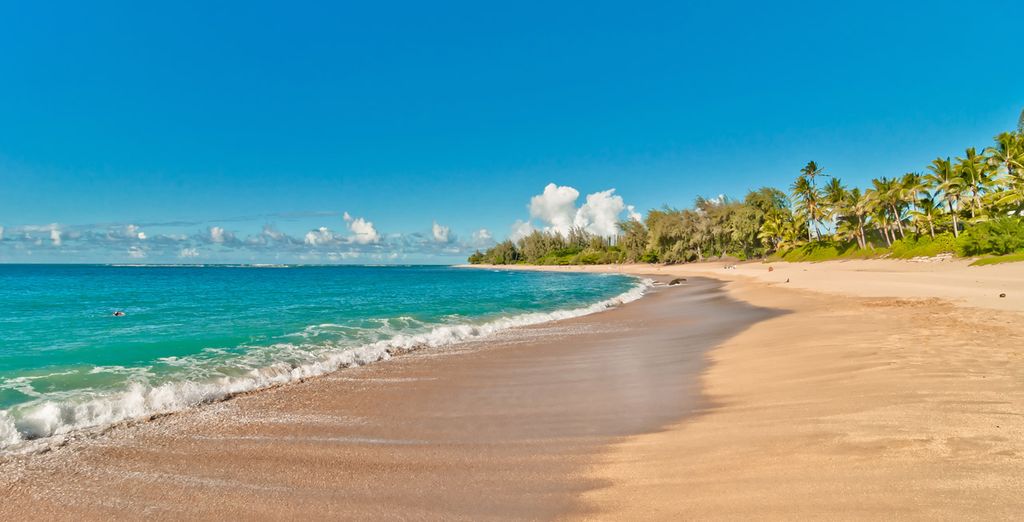 Hawaii Experience - Island hopping tra le isole di Oahu, Kauai e Big Island