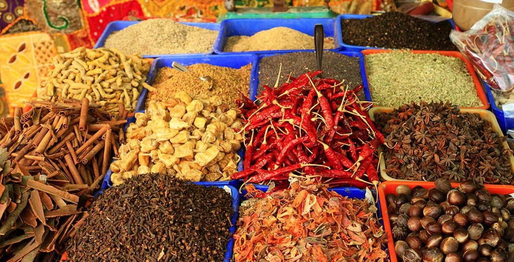 Tour privato del Kerala e soggiorno benessere Ayurvedico