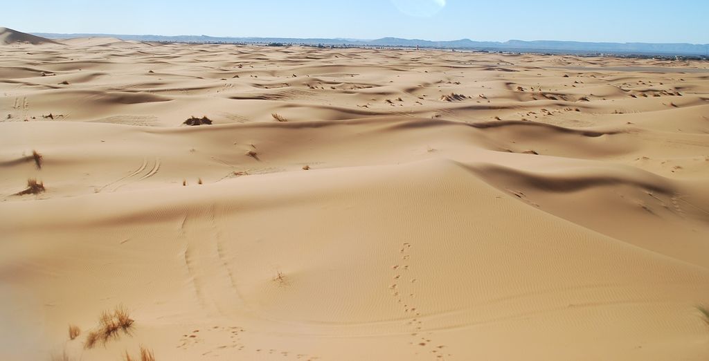 Tour del Marocco tra città imperiali e deserto