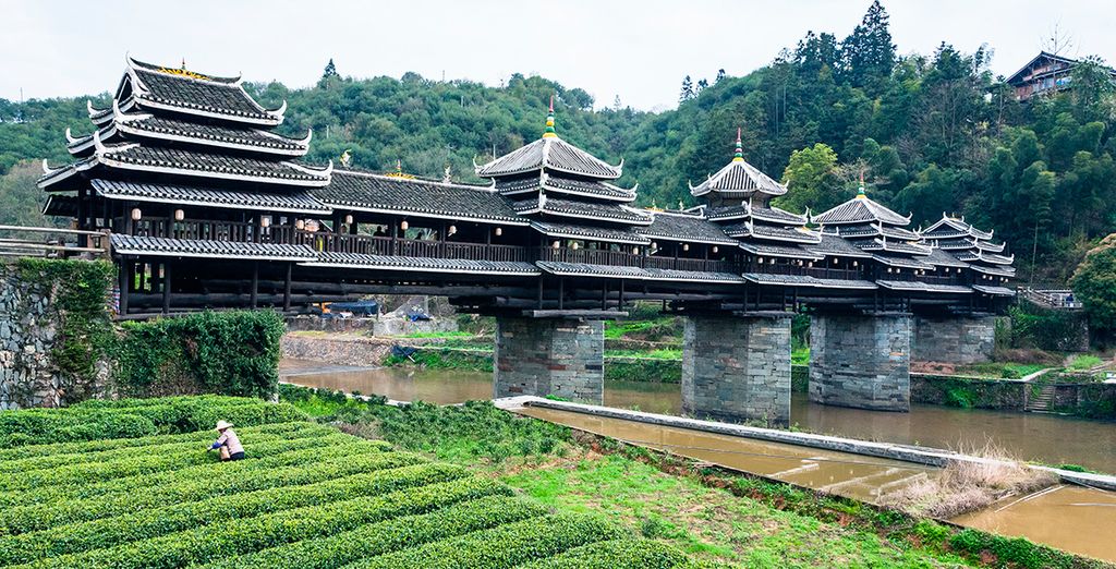Tour della Cina in 13 notti 