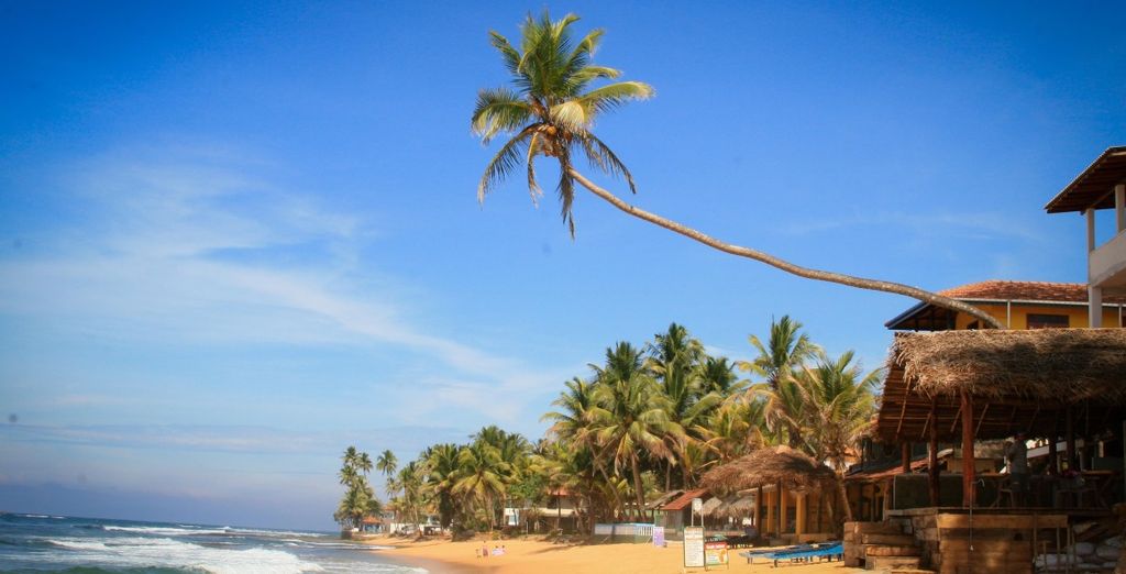 Mini tour Kandy + soggiorno mare Sri Lanka in 4* e 5*