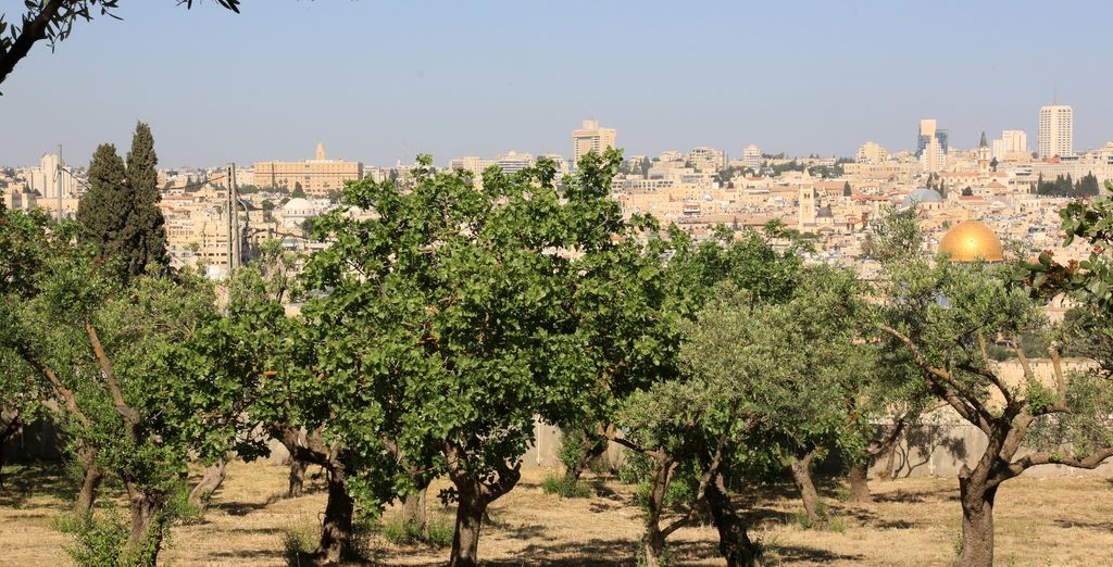 Tour guidato di Petra e Gerusalemme con guida locale parlante italiano