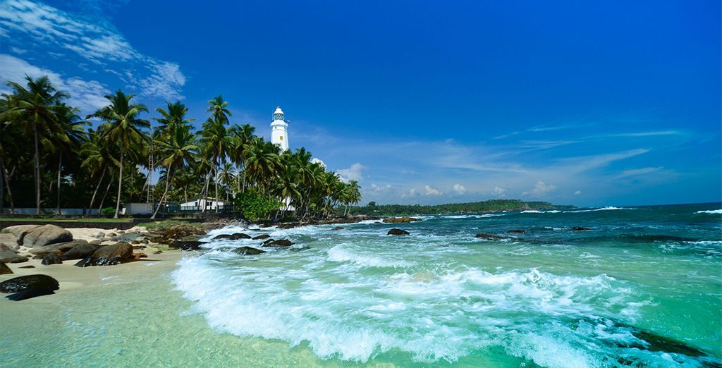 Tour privato alla scoperta delle meraviglie naturali dello Sri Lanka