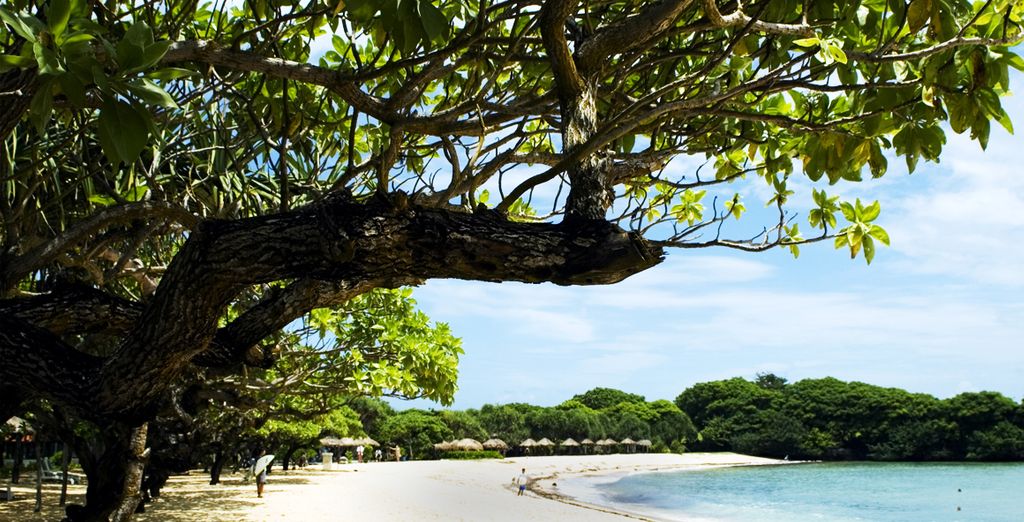 Tour 9 notti: Ubud + Gili Islands + Nusa Dua