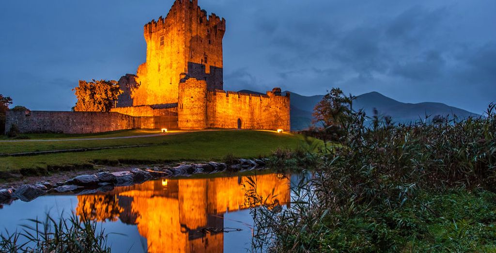 Whiskey Tour in Irlanda