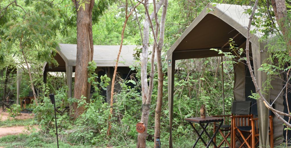Lo Sri Lanka tra cultura, natura e avventura