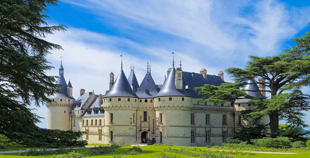 Chateau de Rochecotte 4*