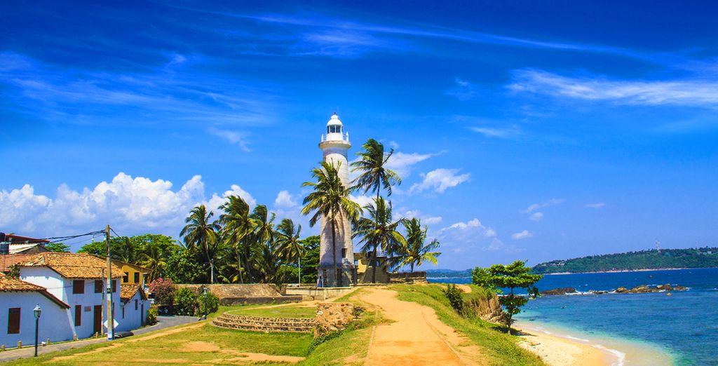 Tour dello Sri Lanka in 8 o 10 notti