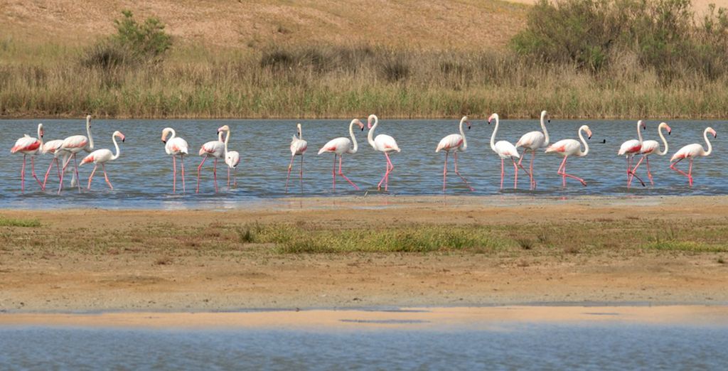 Alla scoperta del Marocco e della terra dei berberi: oceano, riserve naturali, oasi e l'Atlante