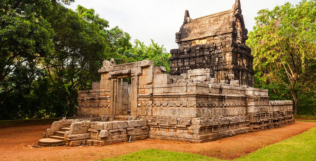 Tour dello Sri Lanka in 8 o 10 notti