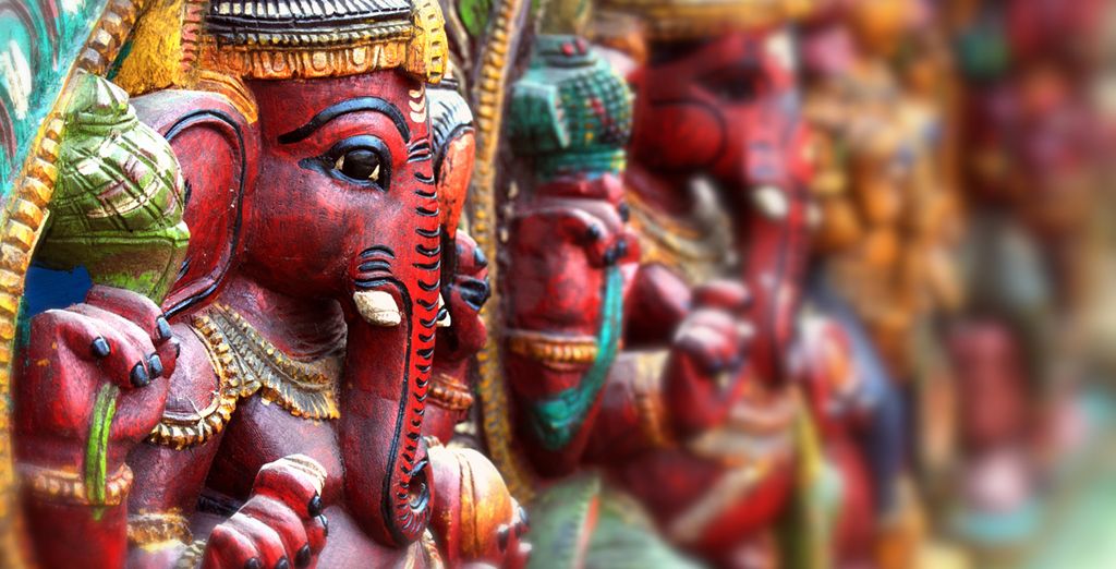 Tour privato del Kerala e soggiorno benessere Ayurvedico