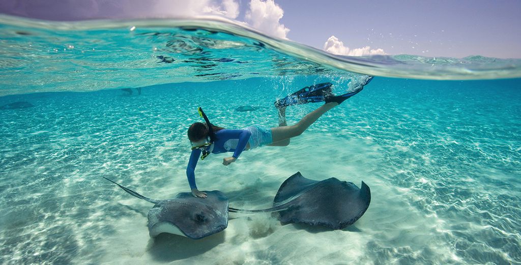 Crociera ai Caraibi con Carnival Conquest e Urbanica The Meridian Hotel