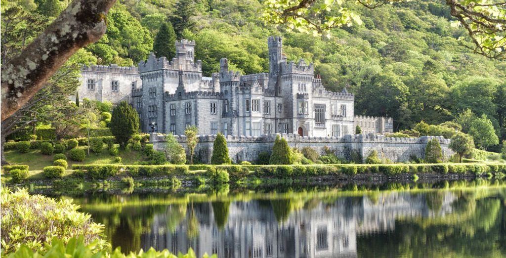 Whiskey Tour in Irlanda