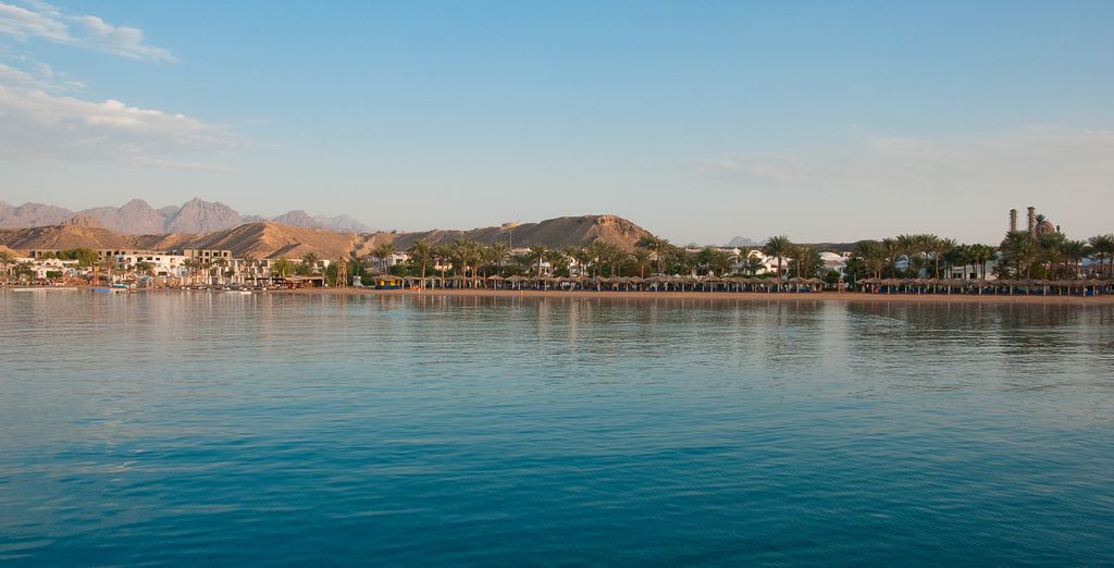 Jaz Mirabel Resort 5* o Iberotel Palace Sharm El Sheikh 5*