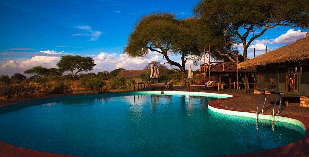 Simba Safari + estensione mare a Zanzibar