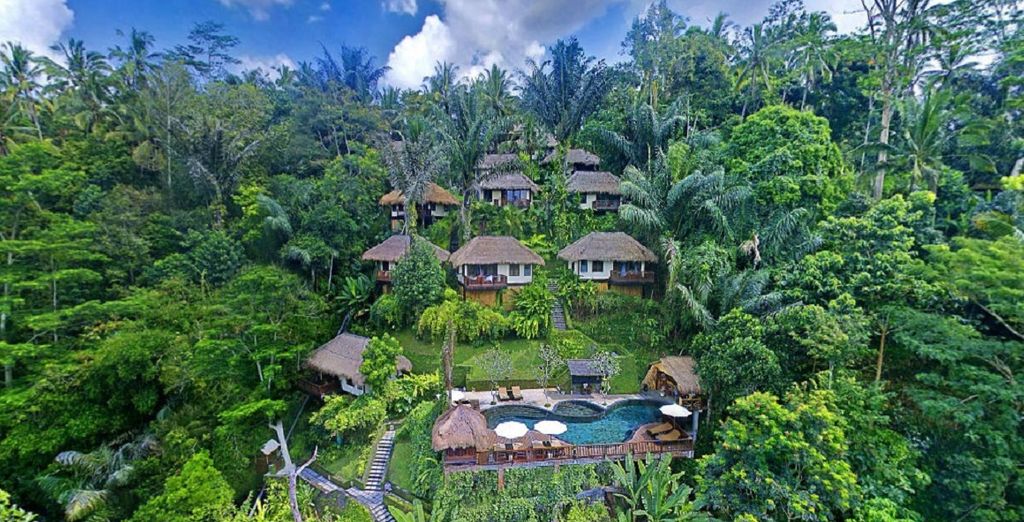 Nandini Jungle Resort & Spa 4* + Melia Bali 5*