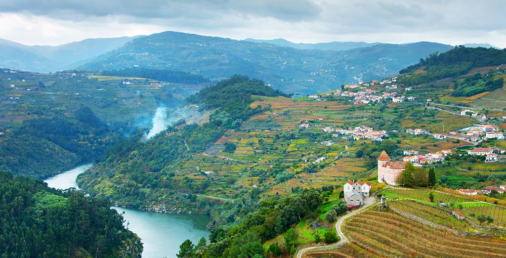 Fly & Drive Porto and Douro Valley