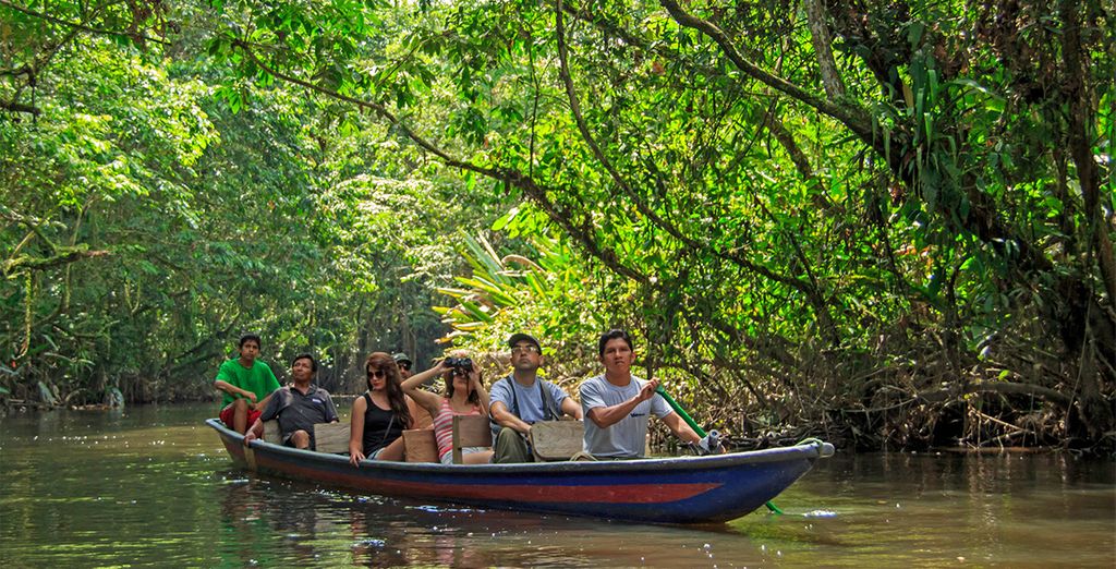 Crociera dell'Amazzonia ecuadoriana con estensione a Quito e Cotopaxi